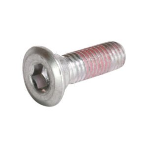 Front Brake Disc Bolt; CSC Bella, Pug, Nitro Sport