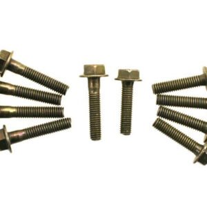 Universal Parts M6-1.00 Bolts - Set of 10