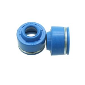 SSP-G Viton Valve Seals